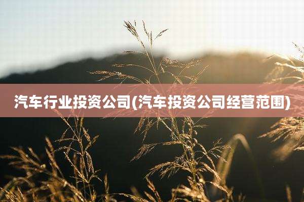 汽车行业投资公司(汽车投资公司经营范围)