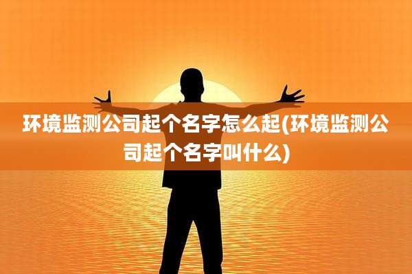 环境监测公司起个名字怎么起(环境监测公司起个名字叫什么)