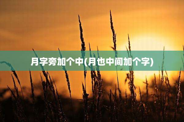 月字旁加个中(月也中间加个字)