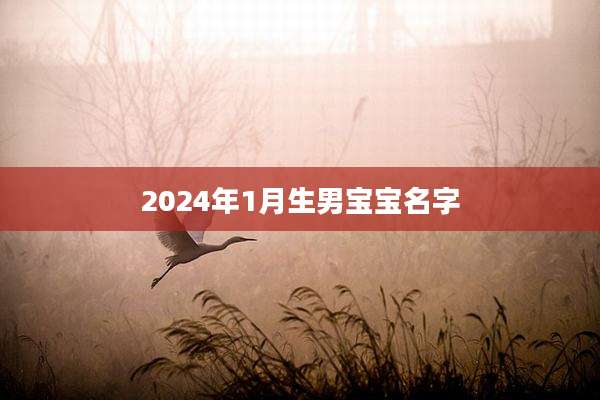 2024年1月生男宝宝名字