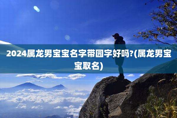 2024属龙男宝宝名字带园字好吗?(属龙男宝宝取名)