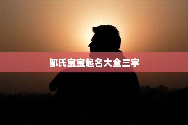 邹氏宝宝起名大全三字