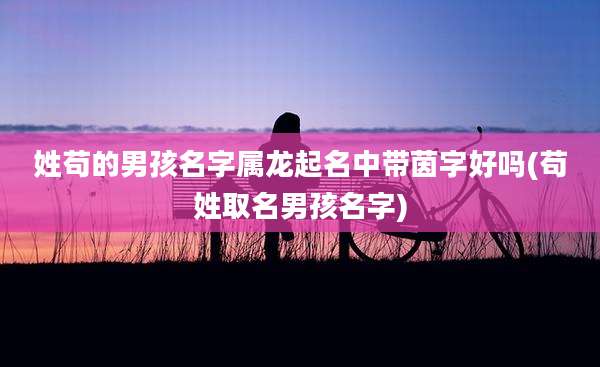 姓苟的男孩名字属龙起名中带茵字好吗(苟姓取名男孩名字)