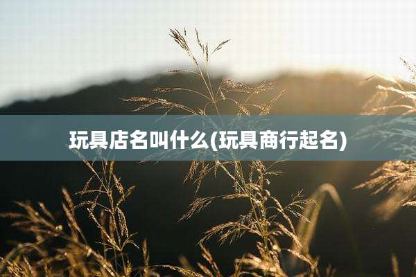 玩具店名叫什么(玩具商行起名)