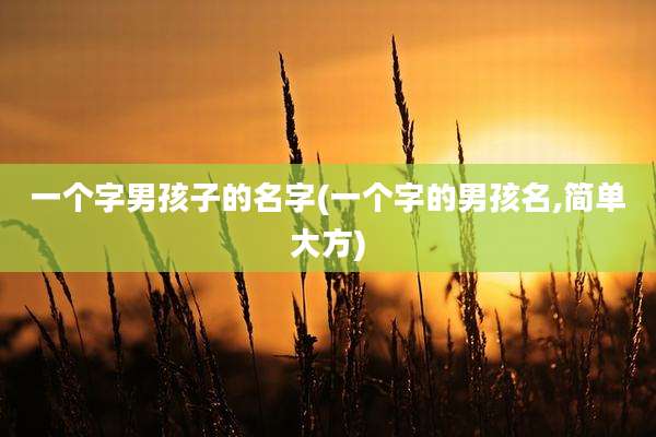 一个字男孩子的名字(一个字的男孩名,简单大方)