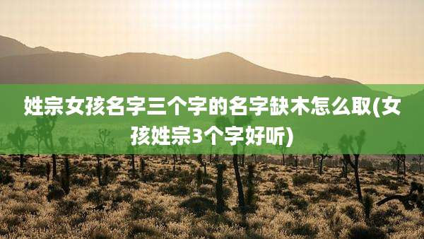 姓宗女孩名字三个字的名字缺木怎么取(女孩姓宗3个字好听)