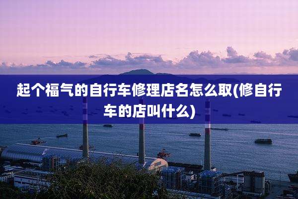 起个福气的自行车修理店名怎么取(修自行车的店叫什么)