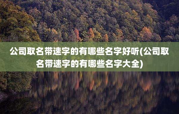 公司取名带速字的有哪些名字好听(公司取名带速字的有哪些名字大全)