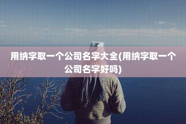 用纳字取一个公司名字大全(用纳字取一个公司名字好吗)