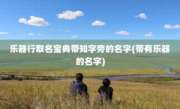 乐器行取名宝典带知字旁的名字(带有乐器的名字)