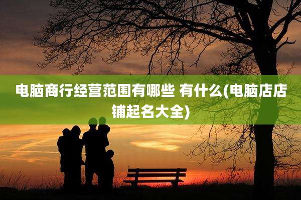 电脑商行经营范围有哪些 有什么(电脑店店铺起名大全)