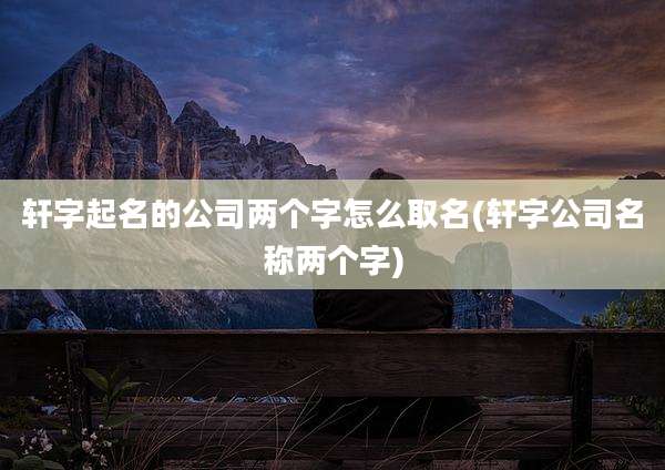 轩字起名的公司两个字怎么取名(轩字公司名称两个字)