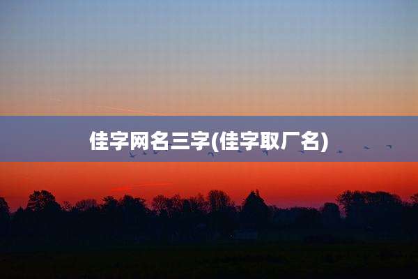 佳字网名三字(佳字取厂名)