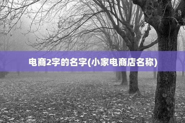 电商2字的名字(小家电商店名称)