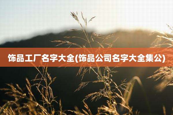 饰品工厂名字大全(饰品公司名字大全集公)