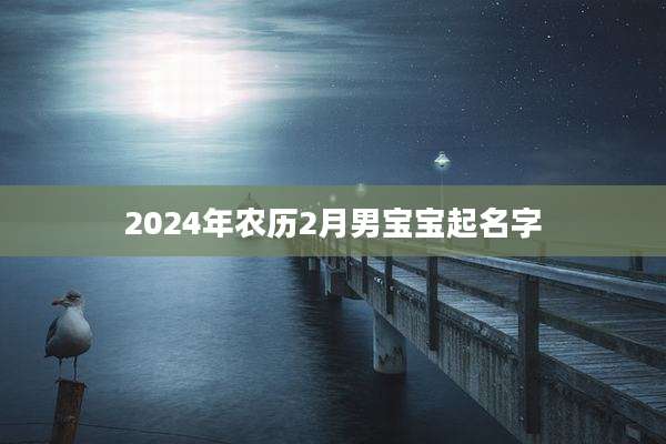 2024年农历2月男宝宝起名字