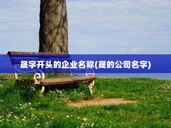 晟字开头的企业名称(晟的公司名字)