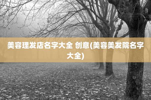 美容理发店名字大全 创意(美容美发院名字大全)