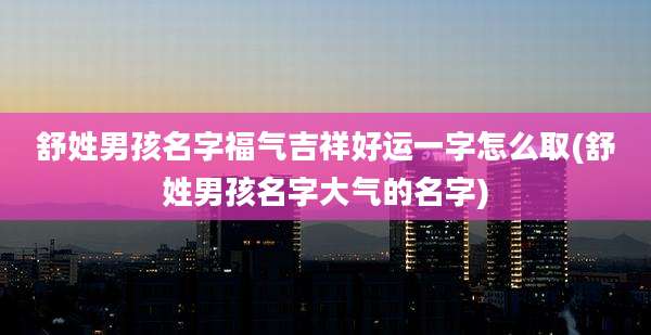 舒姓男孩名字福气吉祥好运一字怎么取(舒姓男孩名字大气的名字)