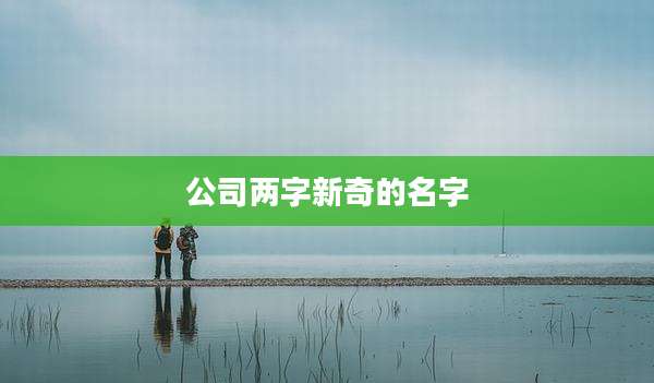 公司两字新奇的名字