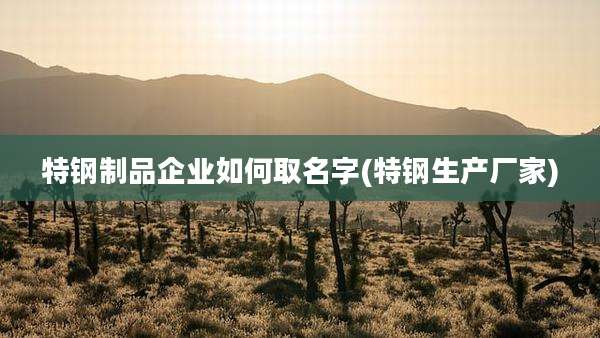 特钢制品企业如何取名字(特钢生产厂家)