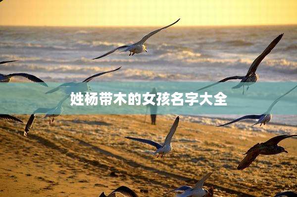 姓杨带木的女孩名字大全