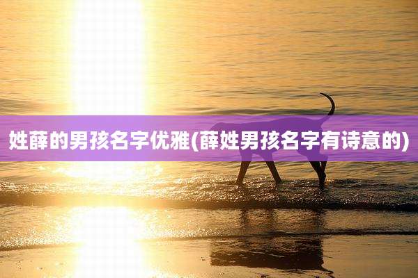 姓薛的男孩名字优雅(薛姓男孩名字有诗意的)