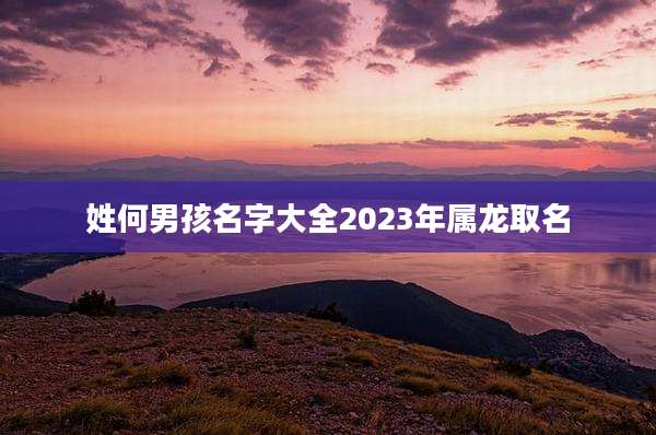 姓何男孩名字大全2023年属龙取名
