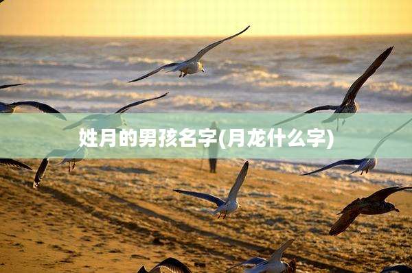 姓月的男孩名字(月龙什么字)