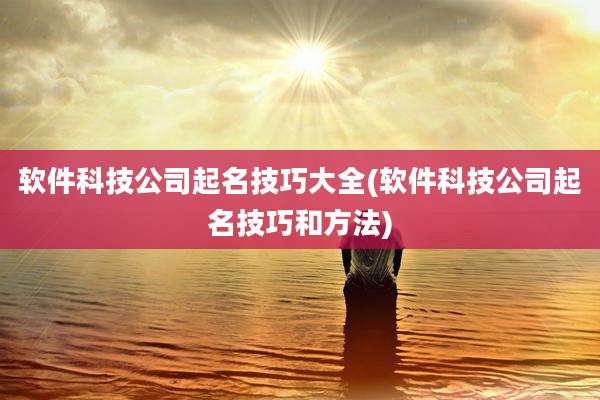 软件科技公司起名技巧大全(软件科技公司起名技巧和方法)