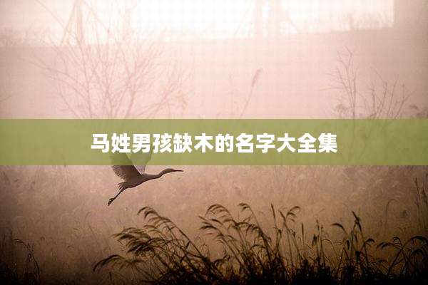 马姓男孩缺木的名字大全集