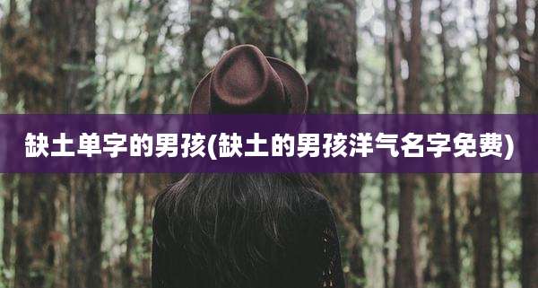 缺土单字的男孩(缺土的男孩洋气名字免费)