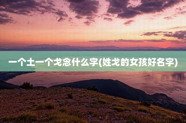 一个土一个戈念什么字(姓戈的女孩好名字)