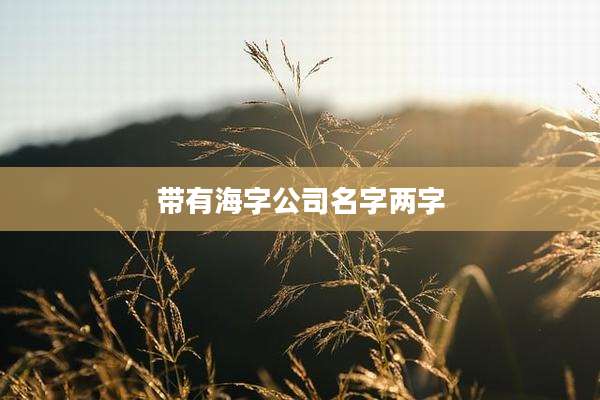 带有海字公司名字两字