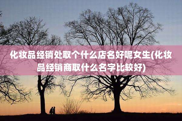 化妆品经销处取个什么店名好呢女生(化妆品经销商取什么名字比较好)