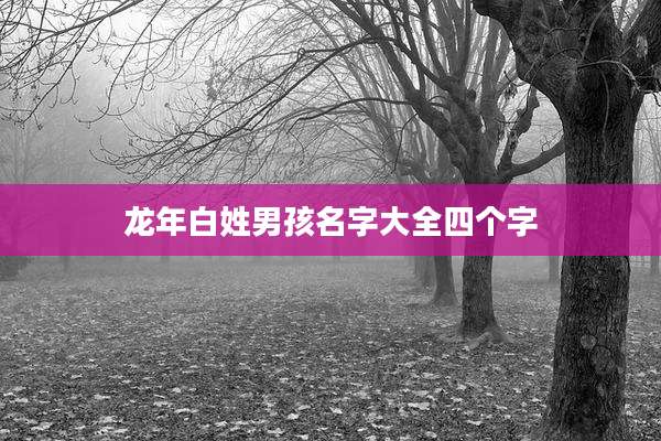 龙年白姓男孩名字大全四个字