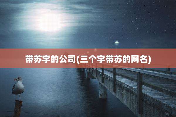 带苏字的公司(三个字带苏的网名)