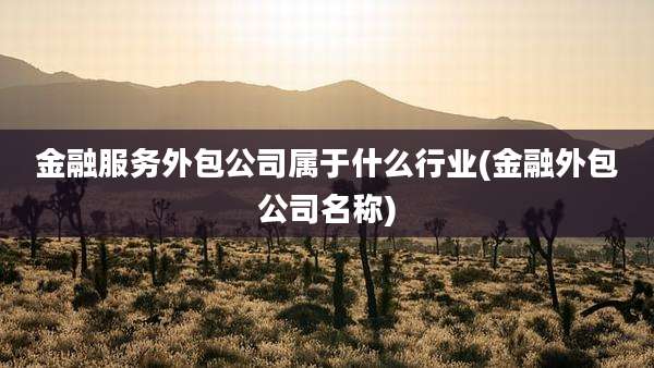 金融服务外包公司属于什么行业(金融外包公司名称)