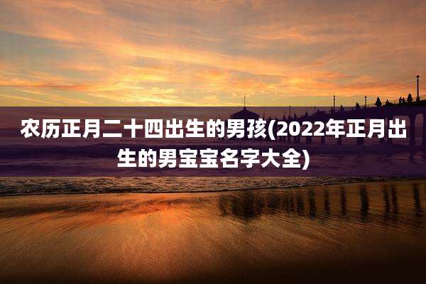 农历正月二十四出生的男孩(2022年正月出生的男宝宝名字大全)