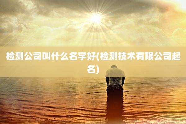 检测公司叫什么名字好(检测技术有限公司起名)