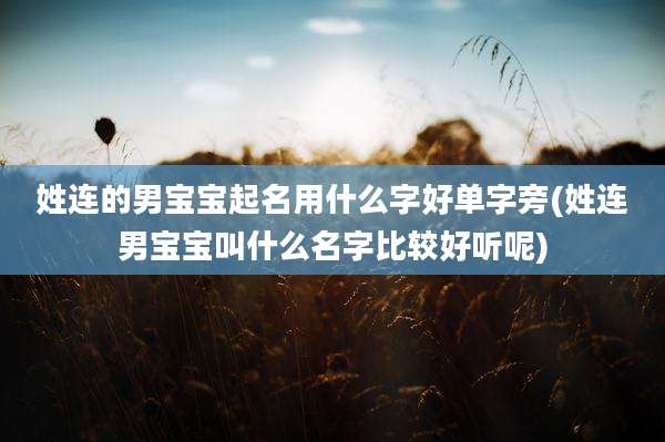 姓连的男宝宝起名用什么字好单字旁(姓连男宝宝叫什么名字比较好听呢)