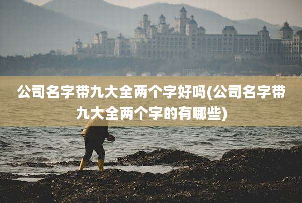 公司名字带九大全两个字好吗(公司名字带九大全两个字的有哪些)