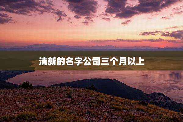 清新的名字公司三个月以上