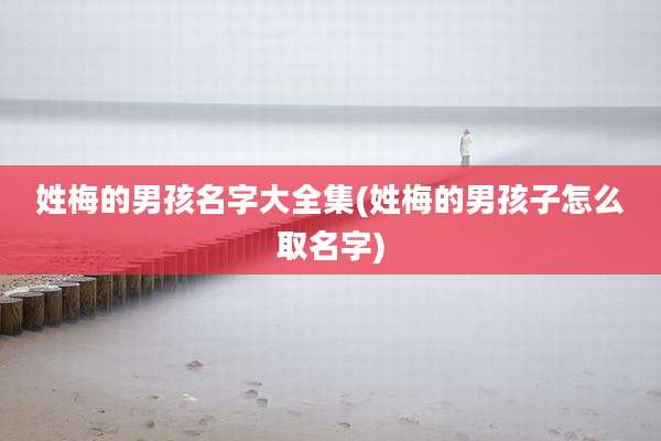 姓梅的男孩名字大全集(姓梅的男孩子怎么取名字)