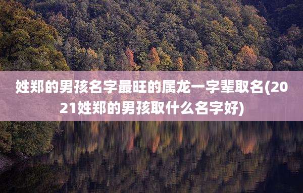 姓郑的男孩名字最旺的属龙一字辈取名(2021姓郑的男孩取什么名字好)