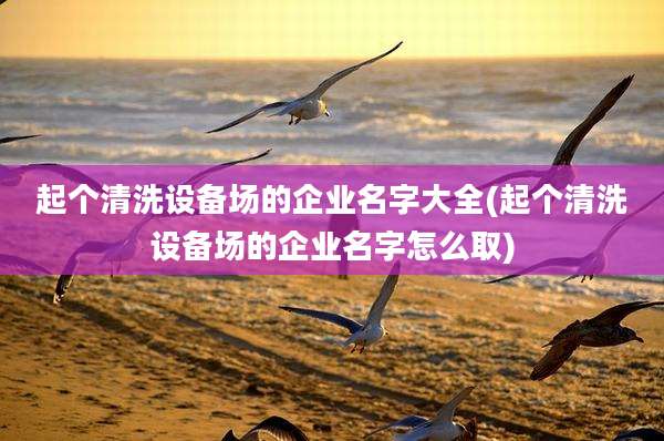 起个清洗设备场的企业名字大全(起个清洗设备场的企业名字怎么取)