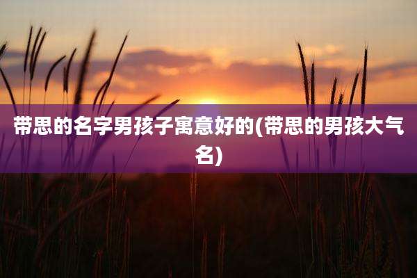 带思的名字男孩子寓意好的(带思的男孩大气名)