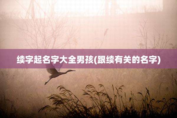 续字起名字大全男孩(跟续有关的名字)