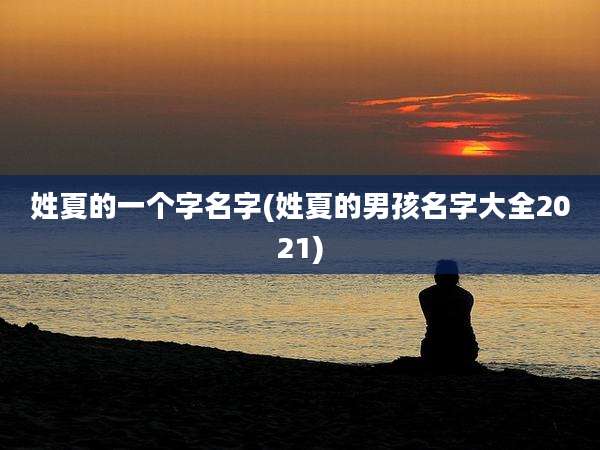 姓夏的一个字名字(姓夏的男孩名字大全2021)