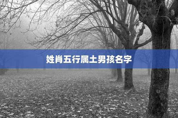 姓肖五行属土男孩名字